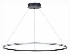 Подвесной светильник ST-Luce ST604 OUT ST604.443.57 в Снежинске - snezhinsk.mebel24.online | фото 2