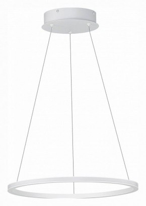 Подвесной светильник ST-Luce ST604 OUT ST604.543.22 в Снежинске - snezhinsk.mebel24.online | фото 2