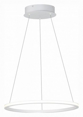 Подвесной светильник ST-Luce ST604 OUT ST604.543.22 в Снежинске - snezhinsk.mebel24.online | фото 3