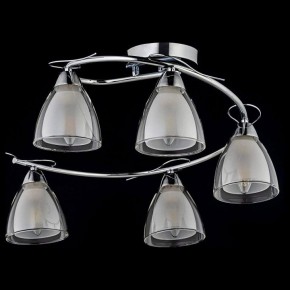 Потолочная люстра Arti Lampadari Paola, Tavenna Nickel Paola E 1.1.5 N в Снежинске - snezhinsk.mebel24.online | фото 2