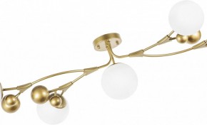 Потолочная люстра Lightstar Croco 815553 в Снежинске - snezhinsk.mebel24.online | фото 6