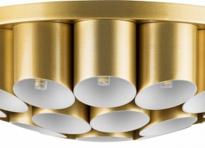 Потолочная люстра Lightstar Siena 720222 в Снежинске - snezhinsk.mebel24.online | фото 3