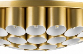 Потолочная люстра Lightstar Siena 720402 в Снежинске - snezhinsk.mebel24.online | фото 3