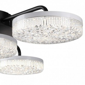 Потолочная люстра Lumion Didana 8236/4CL в Снежинске - snezhinsk.mebel24.online | фото 7