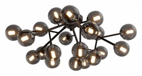 Потолочная люстра Maytoni Dallas MOD545CL-20B в Снежинске - snezhinsk.mebel24.online | фото 2