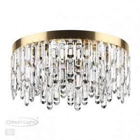 Потолочная люстра Odeon Light Dakisa 4986/6C в Снежинске - snezhinsk.mebel24.online | фото 4