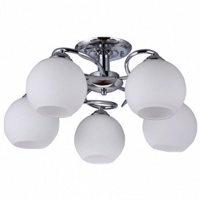 Потолочная люстра Omnilux Casoria OML-25107-05 в Снежинске - snezhinsk.mebel24.online | фото