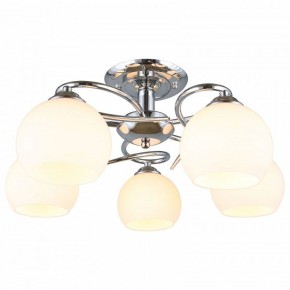 Потолочная люстра Omnilux Casoria OML-25107-05 в Снежинске - snezhinsk.mebel24.online | фото 2