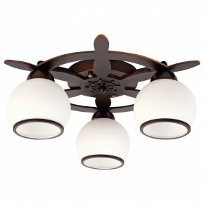Потолочная люстра Omnilux Fronteira OML-50507-03 в Снежинске - snezhinsk.mebel24.online | фото