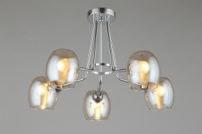 Потолочная люстра Omnilux Tesero OML-27307-05 в Снежинске - snezhinsk.mebel24.online | фото 6