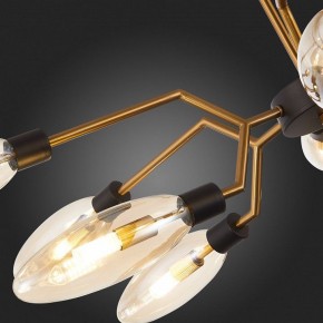 Потолочная люстра ST-Luce Desima SL1174.303.12 в Снежинске - snezhinsk.mebel24.online | фото 10