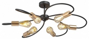 Потолочная люстра Vitaluce V3076 V3076-1/6PL в Снежинске - snezhinsk.mebel24.online | фото 3