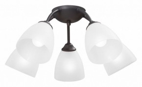 Потолочная люстра Vitaluce V3184 V3737-2/5PL в Снежинске - snezhinsk.mebel24.online | фото