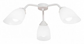 Потолочная люстра Vitaluce V31950 V31950/3PL в Снежинске - snezhinsk.mebel24.online | фото