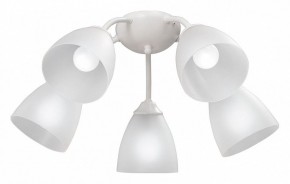 Потолочная люстра Vitaluce V3737 V3737-0/5PL в Снежинске - snezhinsk.mebel24.online | фото