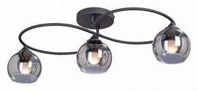 Потолочная люстра Vitaluce  V4965-1/3PL в Снежинске - snezhinsk.mebel24.online | фото