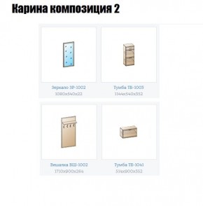Прихожая Карина (модульная) в Снежинске - snezhinsk.mebel24.online | фото 6