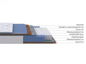 PROxSON Матрас Active Duo M/F (Ткань Трикотаж Эко) 200x190 в Снежинске - snezhinsk.mebel24.online | фото 1