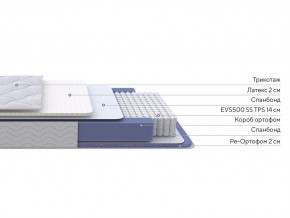 PROxSON Матрас Active Duo S/F (Ткань Трикотаж Эко) 160x190 в Снежинске - snezhinsk.mebel24.online | фото 3