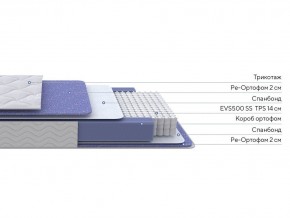 PROxSON Матрас Active F (Ткань Трикотаж Эко) 160x200 в Снежинске - snezhinsk.mebel24.online | фото 2