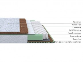 PROxSON Матрас Green Duo M/F (Tricotage Dream) 140x195 в Снежинске - snezhinsk.mebel24.online | фото 2