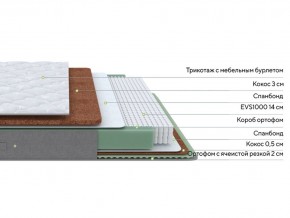 PROxSON Матрас Lux Duo M/F (Non-Stress) 120x200 в Снежинске - snezhinsk.mebel24.online | фото 3