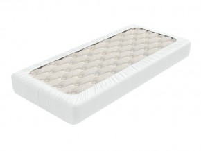 PROxSON Защитный чехол Aqua Save Light S (Ткань влагостойкая Tencel Jersey) 90x200 в Снежинске - snezhinsk.mebel24.online | фото 2