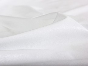 PROxSON Защитный чехол Aqua Stop Plush (Ткань влагостойкая Coral Fleece) 200x200 в Снежинске - snezhinsk.mebel24.online | фото 5