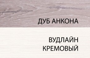 Шкаф 1DZ, OLIVIA, цвет вудлайн крем/дуб анкона в Снежинске - snezhinsk.mebel24.online | фото 3