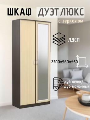 Шкаф 2-х створчатый Дуэт Люкс с зеркалом в Снежинске - snezhinsk.mebel24.online | фото