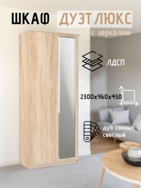 Шкаф 2-х створчатый Дуэт Люкс с зеркалом в Снежинске - snezhinsk.mebel24.online | фото 7