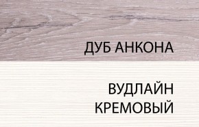 Шкаф 2DG, OLIVIA, цвет вудлайн крем/дуб анкона в Снежинске - snezhinsk.mebel24.online | фото 3