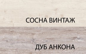 Шкаф 2DG2S, MONAKO, цвет Сосна винтаж/дуб анкона в Снежинске - snezhinsk.mebel24.online | фото