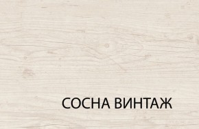 Шкаф 3DG2S, MAGELLAN, цвет Сосна винтаж в Снежинске - snezhinsk.mebel24.online | фото 6