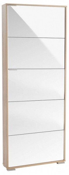 Шкаф для обуви Viva-5LW в Снежинске - snezhinsk.mebel24.online | фото