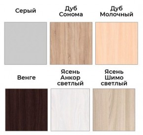 Шкаф-купе ХИТ 22-18-888 (620) в Снежинске - snezhinsk.mebel24.online | фото 3