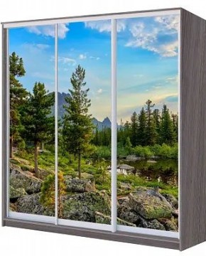 Шкаф-купе ХИТ 22-20/2-777 ПРИРОДА в Снежинске - snezhinsk.mebel24.online | фото