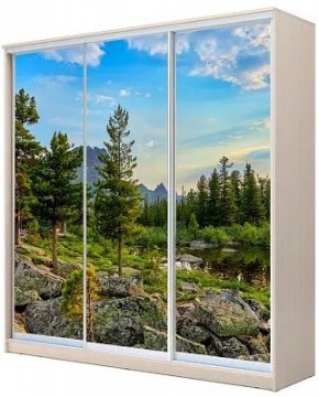 Шкаф-купе ХИТ 22-20-777 ПРИРОДА в Снежинске - snezhinsk.mebel24.online | фото