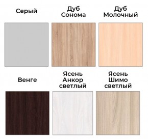 Шкаф-купе ХИТ 22-4-14-11 (420) в Снежинске - snezhinsk.mebel24.online | фото 5