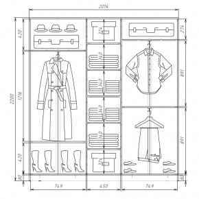 Шкаф-купе ХИТ 22-4-20-151 (420) в Снежинске - snezhinsk.mebel24.online | фото 2
