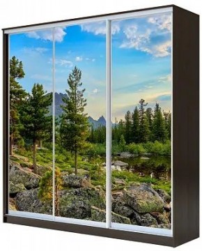 Шкаф-купе ХИТ 23-18/2-777 ПРИРОДА в Снежинске - snezhinsk.mebel24.online | фото