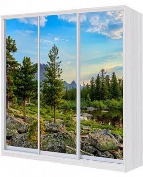 Шкаф-купе ХИТ 23-4-20/2-777 ПРИРОДА в Снежинске - snezhinsk.mebel24.online | фото