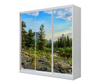 Шкаф-купе ХИТ 23-4-20-777 (420) в Снежинске - snezhinsk.mebel24.online | фото