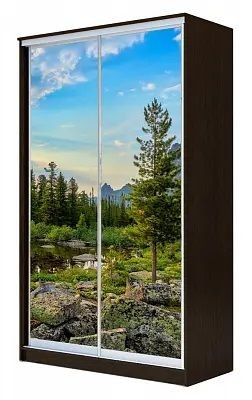 Шкаф-купе ХИТ 24-15-77 ПРИРОДА в Снежинске - snezhinsk.mebel24.online | фото