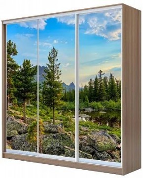 Шкаф-купе ХИТ 24-18-777 ПРИРОДА в Снежинске - snezhinsk.mebel24.online | фото