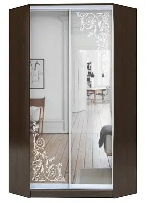 Шкаф-купе ХИТ-У-22-4-66 ОРНАМЕНТ в Снежинске - snezhinsk.mebel24.online | фото