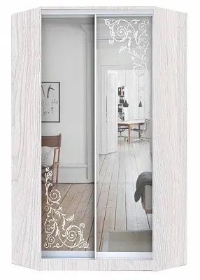 Шкаф-купе ХИТ-У-24-4-66 ОРНАМЕНТ в Снежинске - snezhinsk.mebel24.online | фото