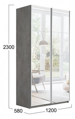 Шкаф-купе Траст СШК 2.120.60-13.13 в Снежинске - snezhinsk.mebel24.online | фото 3