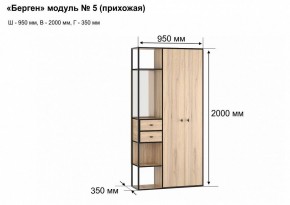 Шкаф платяной Берген-5 в Снежинске - snezhinsk.mebel24.online | фото 7