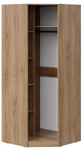 Шкаф платяной Глосс СМ-319.07.311 в Снежинске - snezhinsk.mebel24.online | фото 2